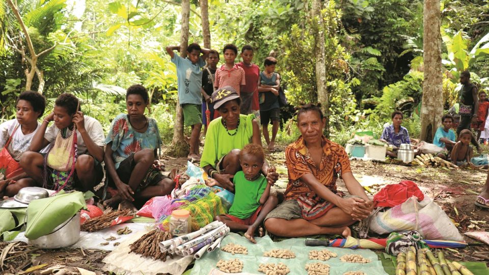 Žvýkání batelových ořechů je mezi Papuánci nesmírně populární. Droga je ovšem návyková, ničí zuby a její uživatelé plivají krvavé červené sliny.