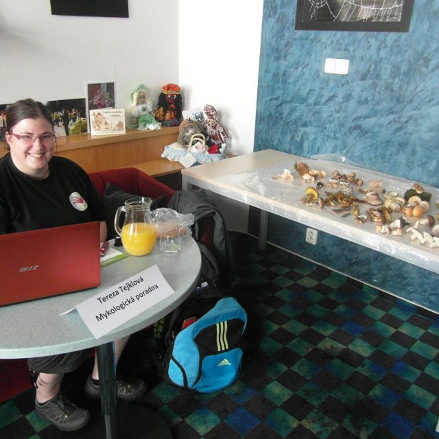 Tereza Tejklová si zřídila v části naší Radiokavárny pravou mykologickou poradnu | foto: Milan Baják,  Český rozhlas