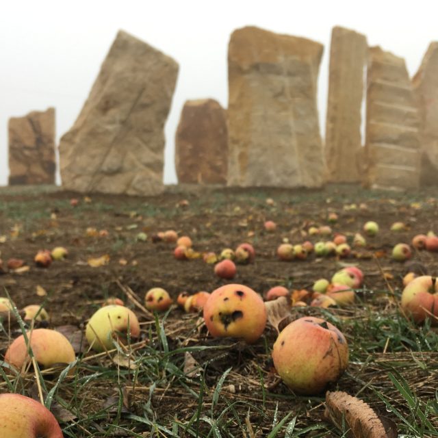 Menhiry u Horní Bělé  | foto: Pavel Halla