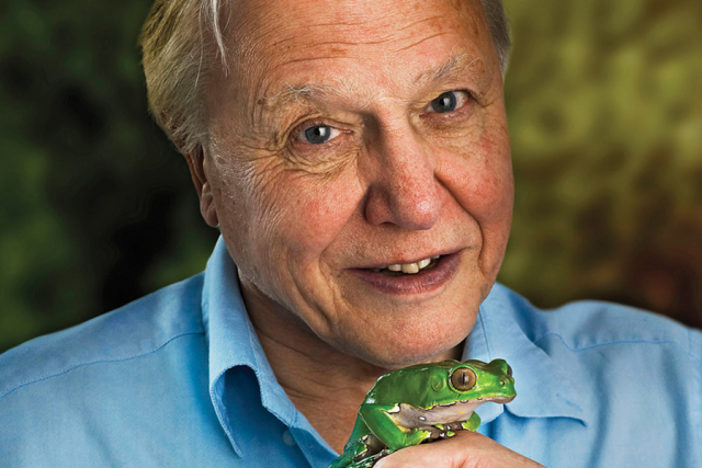 Sir David Attenborough | foto: Johann Edwin Heupel,  CC BY 2.0
