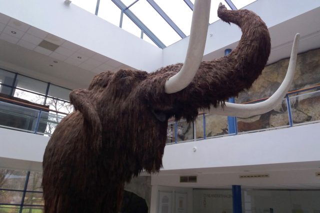 Doslova největším magnetem expozice je jednoznačně maketa mamuta | foto: Hana Ondryášová,  Český rozhlas