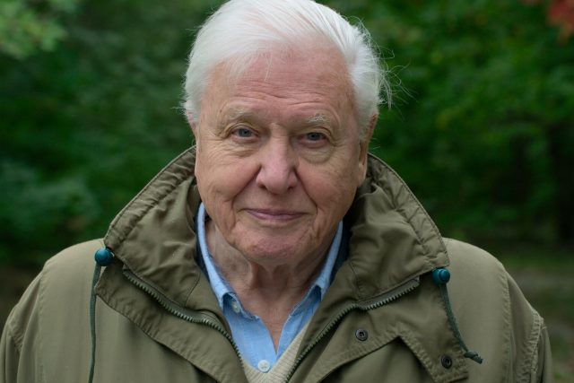 David Attenborough ve filmu Život na naší planetě | foto: Netflix